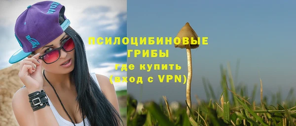 мет Армянск