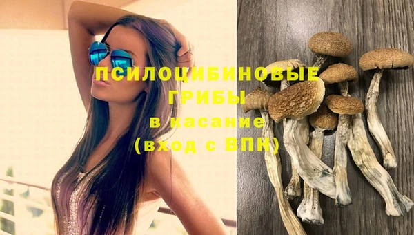 спайс Дмитриев
