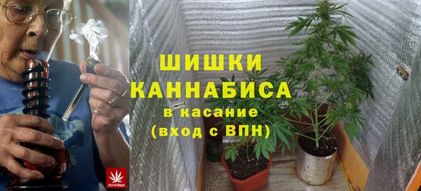 прущие крисы Аркадак