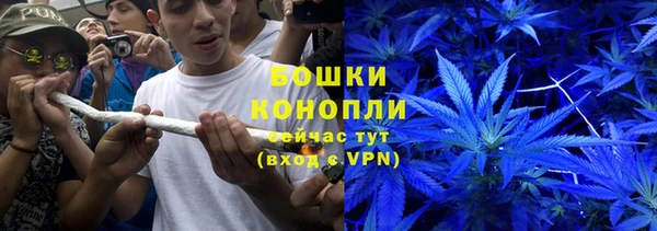 прущие крисы Аркадак