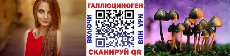 хочу Правдинск Галлюциногенные грибы Cubensis